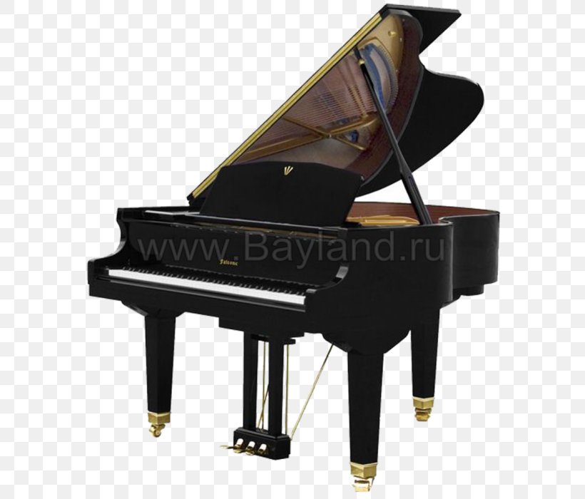 Boston Steinway & Sons Grand Piano ボストンピアノ, PNG, 594x700px, Boston, Digital Piano, Electric Piano, Fortepiano, Grand Piano Download Free