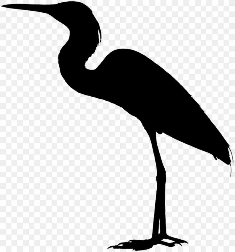 Heron Ibis Stork Clip Art Crane, PNG, 862x927px, Heron, Animal, Beak ...