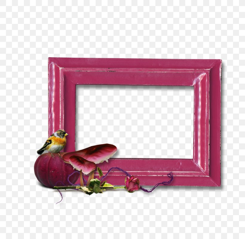 Picture Frames Rectangle, PNG, 800x800px, Picture Frames, Magenta, Picture Frame, Pink, Purple Download Free