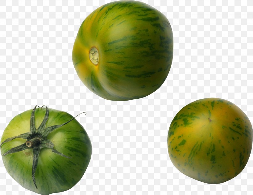 Tomato Juice Fried Green Tomatoes Tomatillo Pumpkin, PNG, 2900x2238px, Tomato Juice, Apple, Auglis, Bush Tomato, Cucumber Gourd And Melon Family Download Free