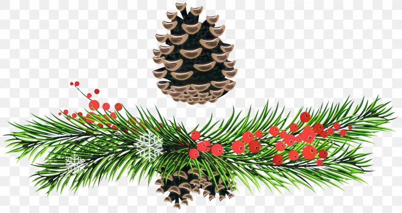 Christmas Black And White, PNG, 2991x1587px, Fir, American Larch, Balsam Fir, Branch, Canadian Fir Download Free
