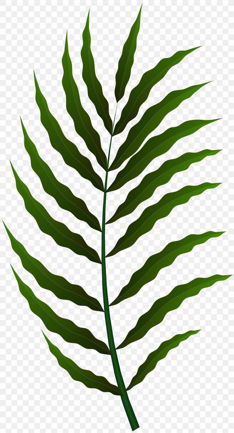 Clip Art Image Leaf, PNG, 4328x8000px, Art, Art Museum, Black And White, Branch, Commodity Download Free