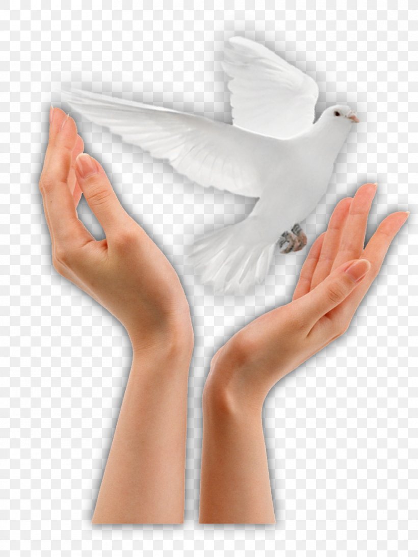 Peace Person Charlotte White Dove Release Clip Art, PNG, 960x1280px, Peace, Arm, Blog, Existence, Finger Download Free