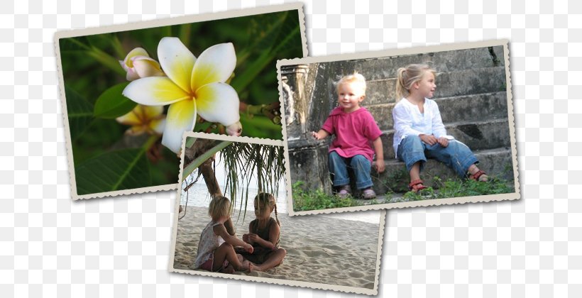 Picture Frames, PNG, 710x420px, Picture Frames, Flora, Flower, Picture Frame Download Free