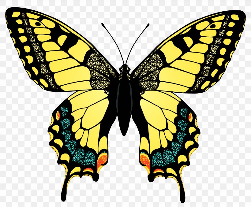 Swallowtail Butterfly Eastern Tiger Swallowtail Clip Art, PNG, 2874x2373px, Butterfly, Arthropod, Brush Footed Butterfly, Drawing, Eastern Tiger Swallowtail Download Free
