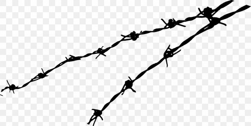 Barbed Wire Clip Art, PNG, 960x484px, Barbed Wire, American Wire Gauge, Barbed Tape, Black And White, Branch Download Free
