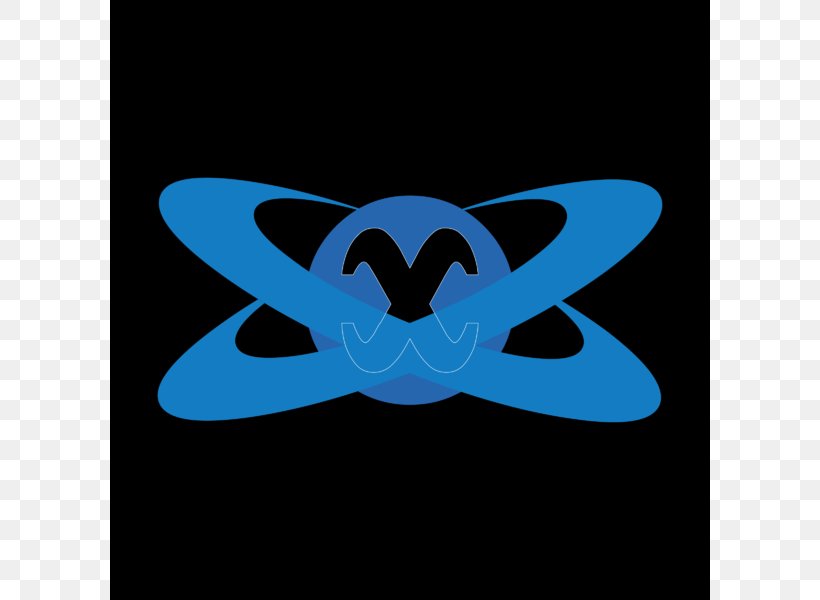 Binoculars Logo, PNG, 800x600px, Logo, Butterfly, Cdr, Electric Blue, Invertebrate Download Free