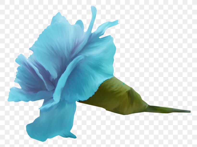 Blue Cut Flowers Petal Color, PNG, 800x611px, Blue, Color, Copyright, Cut Flowers, Flower Download Free