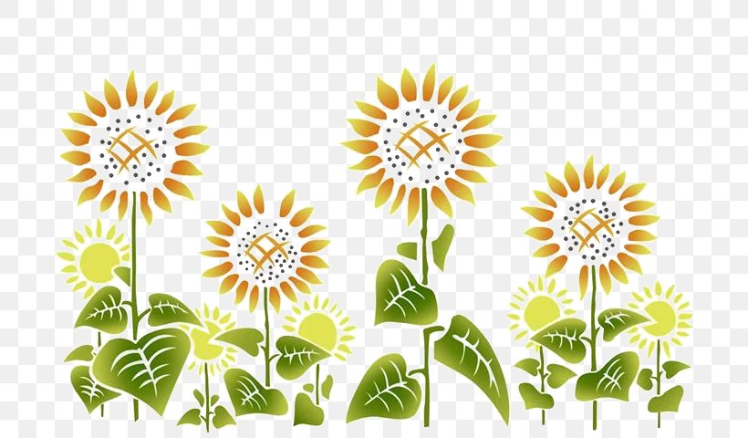 Common Sunflower, PNG, 720x480px, Common Sunflower, Area, Chrysanthemum, Chrysanths, Cut Flowers Download Free