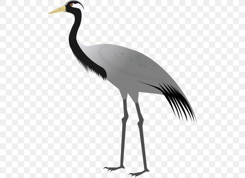 Demoiselle Crane Khichan Bird Sandhill Crane, PNG, 498x596px, Demoiselle Crane, Anthropoides, Beak, Bird, Black And White Download Free