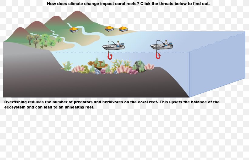 Global Warming Sea Level Rise Climate Change Ocean Acidification, PNG, 800x528px, Global Warming, Area, Climate, Climate Change, Climate Change Denial Download Free
