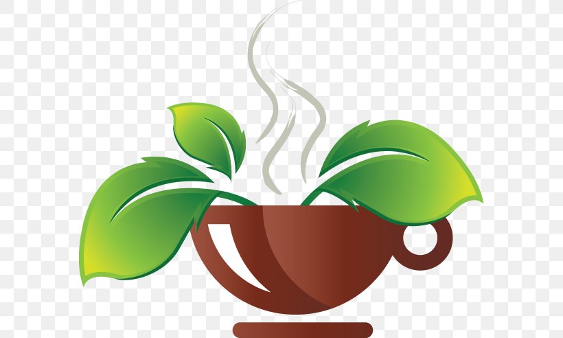 Matcha Green Tea Cafe Gyokuro, PNG, 589x492px, Matcha, Cafe, Flora, Flower, Flowerpot Download Free