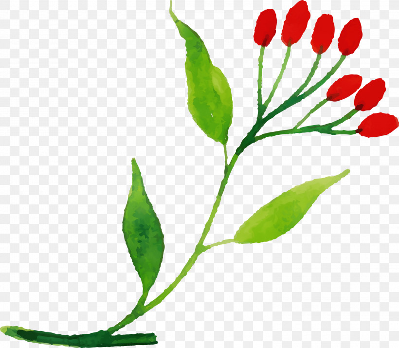 Plant Stem Leaf Cut Flowers Bud Flower, PNG, 3000x2616px, Watercolor Autumn, Biology, Bud, Cut Flowers, Flower Download Free