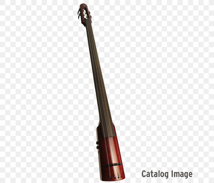 Violin NS Design WAV4c Series 4-String Upright Electric Double Bass Bass Guitar Electric Upright Bass, PNG, 700x700px, Violin, Bass Guitar, Dean Upright Pace Electric Bass, Double Bass, Electric Guitar Download Free