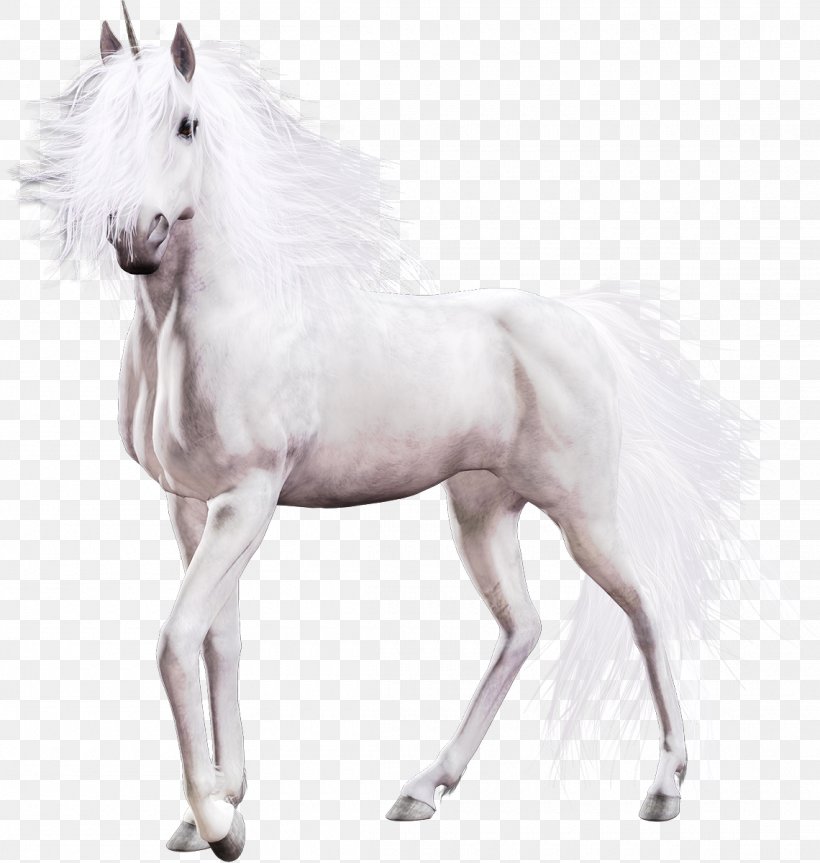 Unicorn Pony Mustang Clip Art, PNG, 1140x1200px, Unicorn, Animal, Foal, Horse, Horse Like Mammal Download Free
