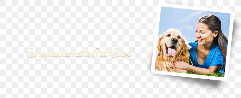 Central Florida Animal Hospital Dog Puppy Veterinarian Clinique Vétérinaire, PNG, 1000x409px, Dog, Advertising, Brand, Central Florida, Dog Breed Download Free