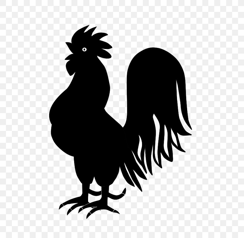 Rooster Silhouette Black And White Clip Art, PNG, 566x800px, Rooster, Beak, Bird, Black And White, Cartoon Download Free