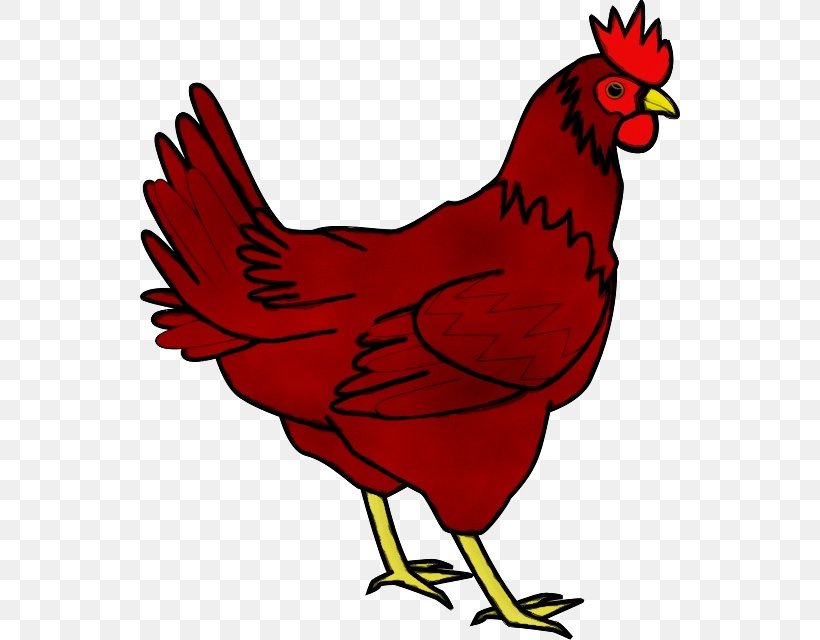 Bird Rooster Beak Chicken Red, PNG, 540x640px, Watercolor, Beak, Bird, Chicken, Comb Download Free