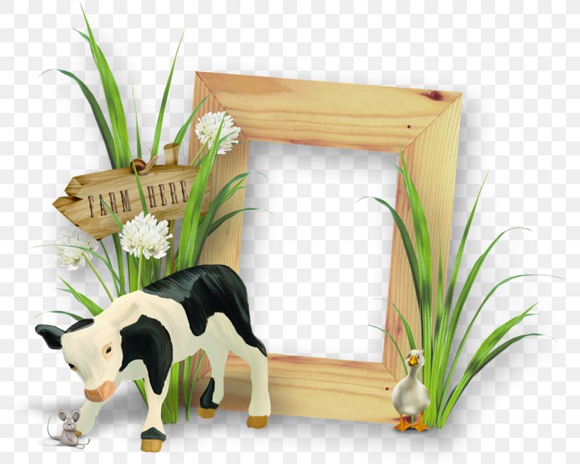 Cattle Picture Frames Image, PNG, 800x657px, Cattle, Canidae, Carnivore, Cat, Dairy Cattle Download Free