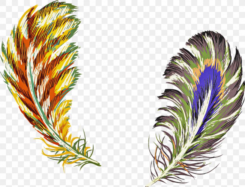 Grass Cartoon, PNG, 1308x999px, Feather, Drawing, Grass, Leaf, Natural Material Download Free