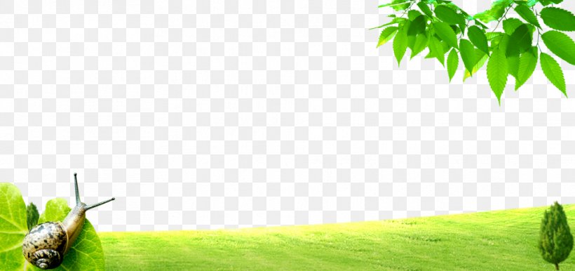 Green Lawn Poster, PNG, 963x454px, Green, Advertising, Designer, Energy, Grass Download Free