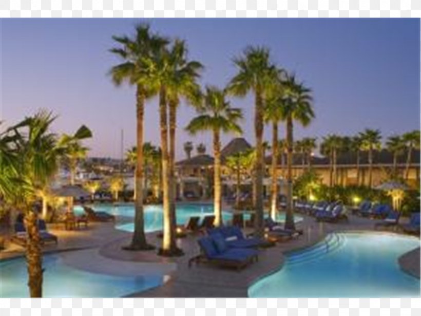 Hyatt Regency Mission Bay Spa And Marina SeaWorld San Diego Belmont Park, PNG, 1024x768px, Seaworld San Diego, Accommodation, Arecales, Beach, Belmont Park Download Free