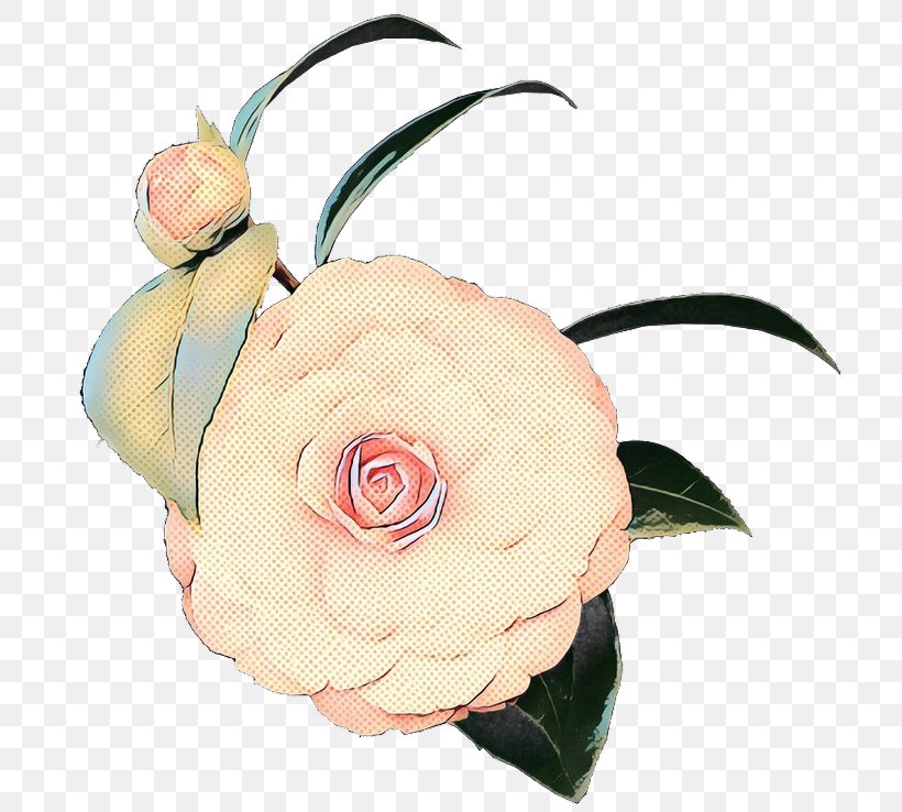 Pink Flower Cartoon, PNG, 738x738px, Garden Roses, Artificial Flower, Beige, Camellia, Clothing Accessories Download Free