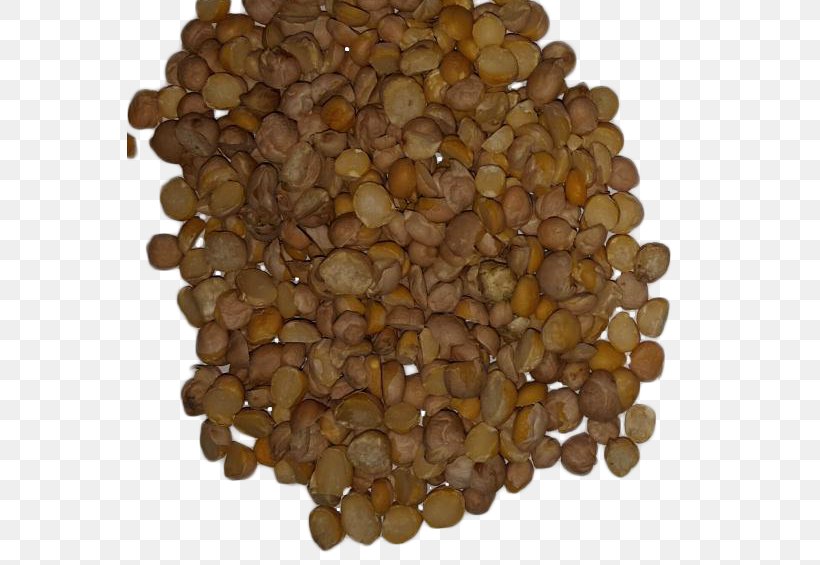 Commodity Seed Mixture, PNG, 565x565px, Commodity, Bean, Ingredient, Mixture, Nuts Seeds Download Free