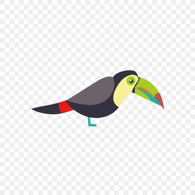 Parrot Bird Toucan Euclidean Vector, PNG, 1181x1181px, Parrot, Animal, Animation, Beak, Bird Download Free