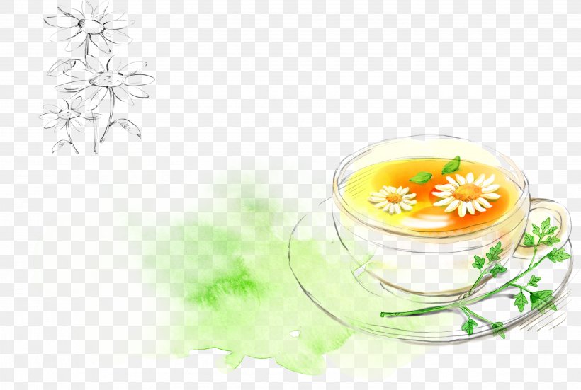 Chrysanthemum Tea Flowering Tea Hibiscus Tea, PNG, 3672x2471px, Tea, Beach Rose, Black Tea, Chawan, Chrysanthemum Download Free
