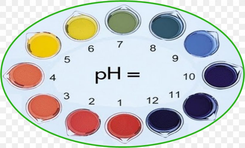 Indicador PH Color Universal Indicator Litmus, PNG, 981x594px, Indicador, Acid, Alkali, Alkalinity, Base Download Free
