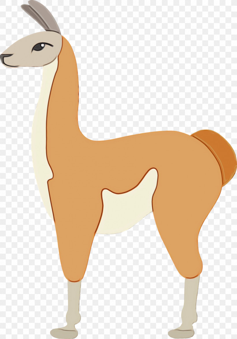 Llama, PNG, 892x1280px, Watercolor, Animal Figurine, Biology, Camels, Cartoon Download Free