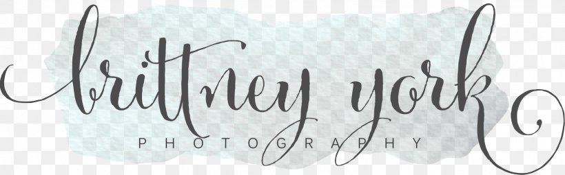 Logo Paper Calligraphy Drawing, PNG, 1632x508px, Logo, Area, Artwork, Black And White, Brand Download Free