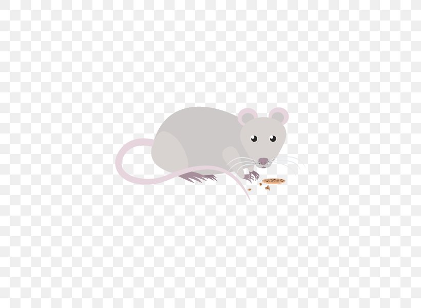 Rat Mouse Rodent Murids Mammal, PNG, 600x600px, Rat, Animal, Mammal, Mouse, Muridae Download Free