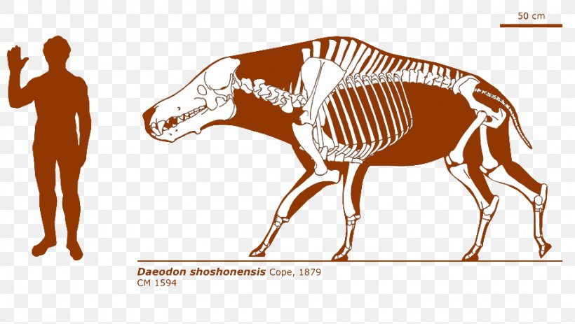 Daeodon ARK: Survival Evolved Dinosaur Even-toed Ungulates Short-faced Bears, PNG, 920x520px, Daeodon, Animal, Ark Survival Evolved, Camelops, Carbonemys Download Free