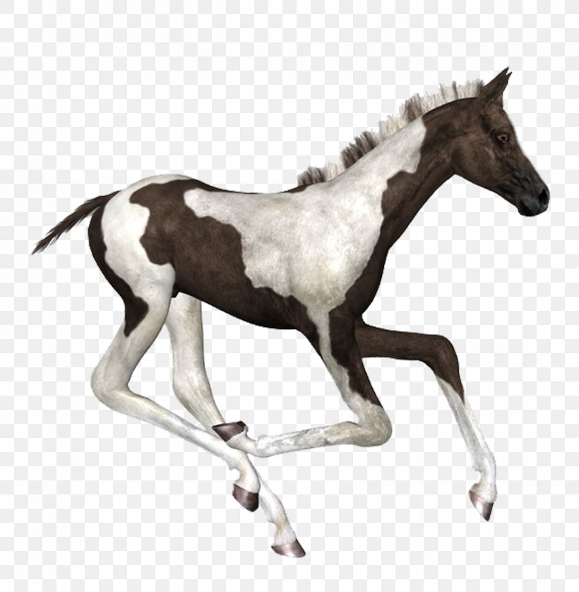 Horse Ink Brush, PNG, 888x908px, Horse, Art, Bit, Brush, Colt Download Free