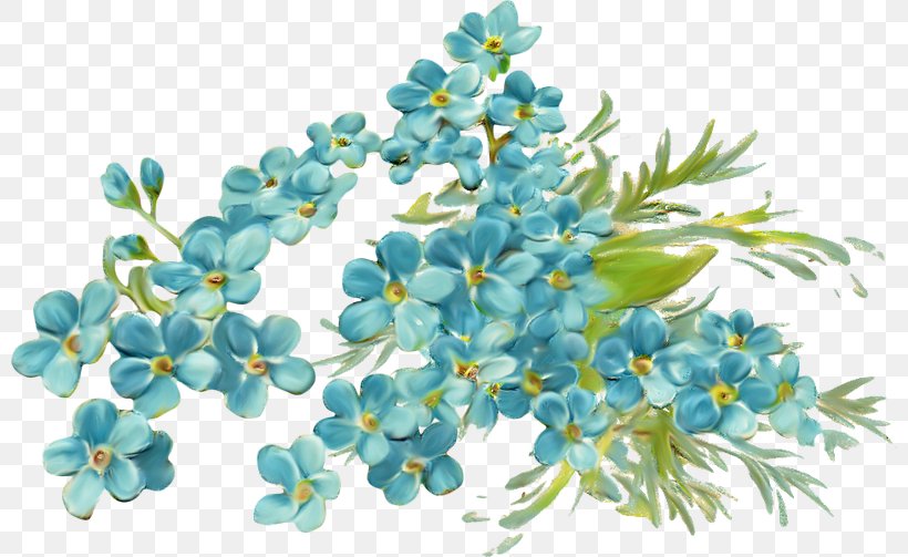 Flowering Plant Bluebonnet Branch, PNG, 800x503px, Blue, Blog, Bluebonnet, Branch, Digital Image Download Free