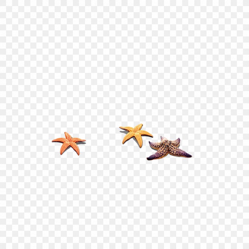 Sea Starfish Clip Art, PNG, 900x900px, Sea, Beach, Google Images, Grey, Invertebrate Download Free