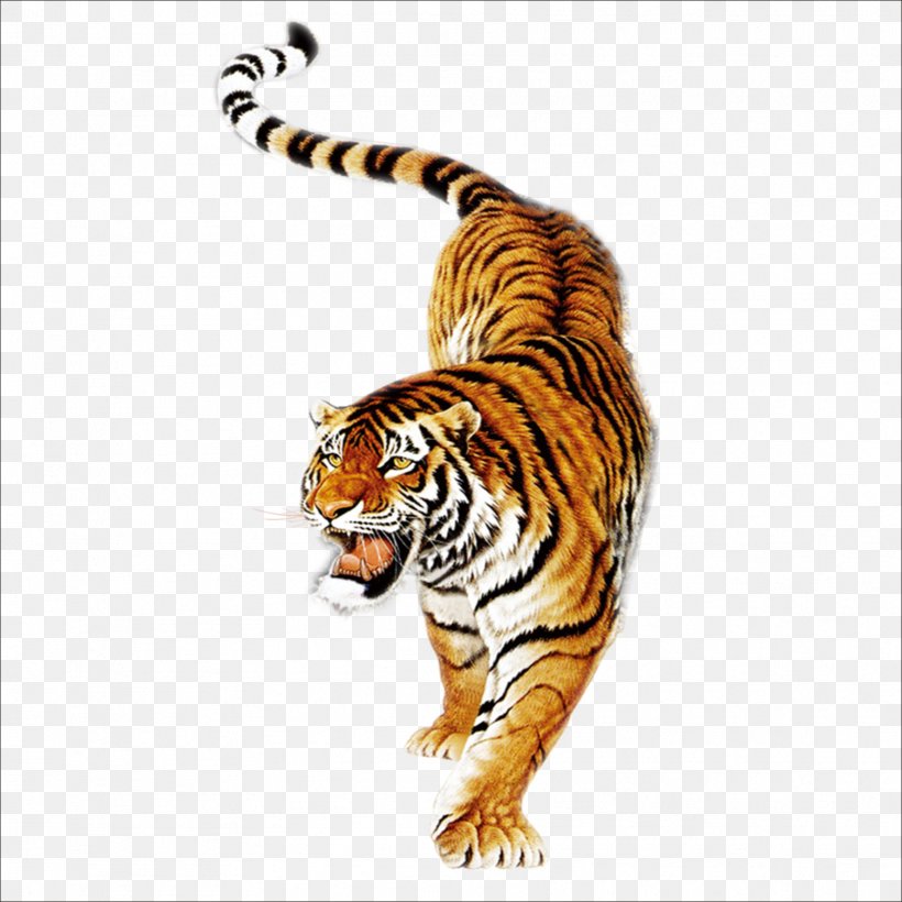 South China Tiger Tiger Balm Siberian Tiger Painting Tiger In Chinese Culture, PNG, 1773x1773px, South China Tiger, Aliexpress, Big Cat, Big Cats, Carnivora Download Free