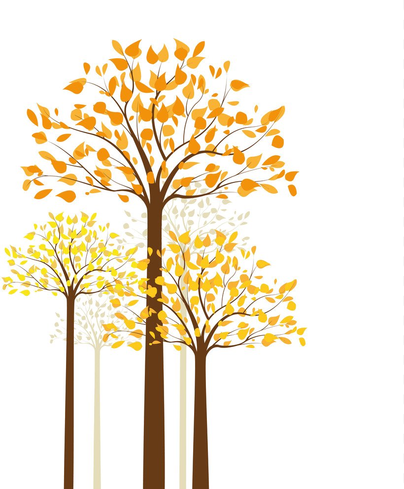 Twig Tree Autumn, PNG, 819x992px, Twig, Autumn, Branch, Flora, Flower Download Free