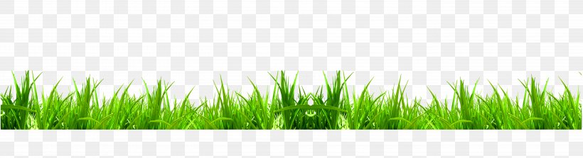 Green Download Weed Icon, PNG, 5500x1500px, Green, Black, Cartoon, Computer, Copyright Download Free