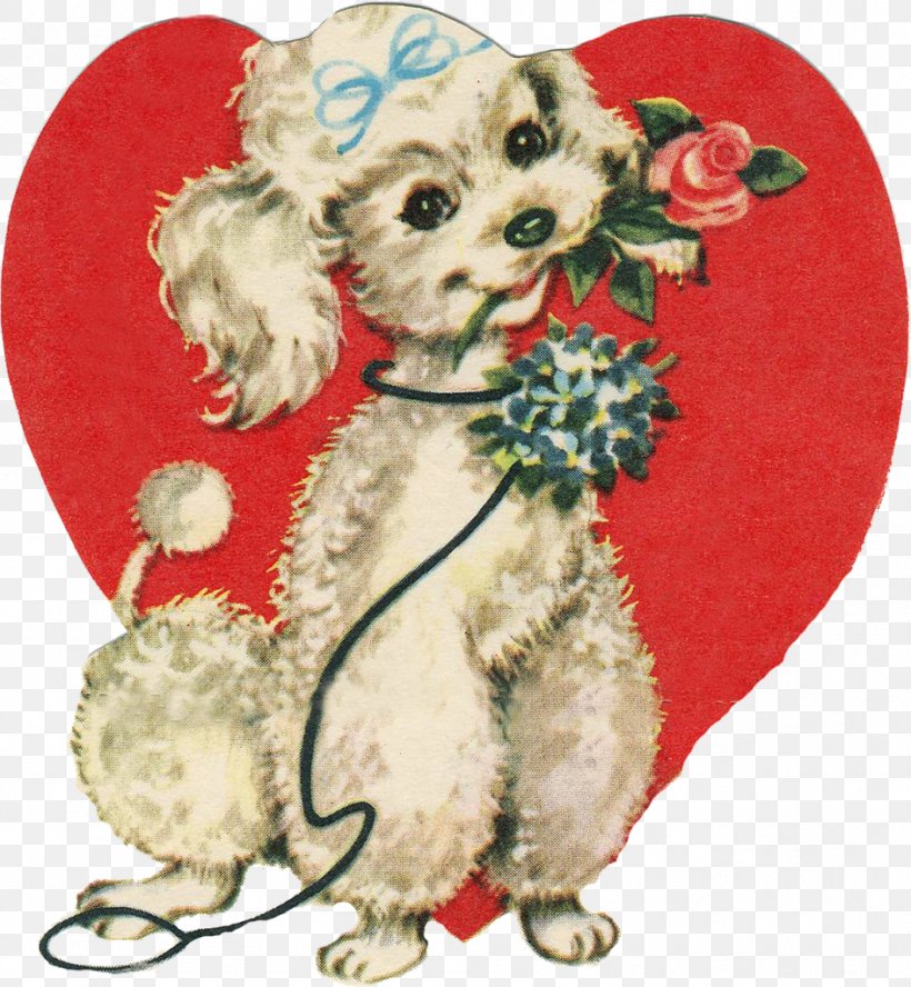Love Background Heart, PNG, 945x1024px, Poodle, Bichon, Cockapoo, Companion Dog, Dog Download Free