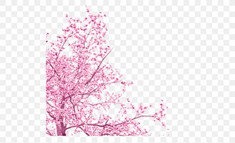 Tree Clip Art, PNG, 504x501px, Tree, Blog, Blossom, Branch, Cherry Blossom Download Free
