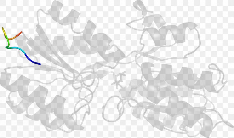White Line Art Clip Art, PNG, 846x500px, White, Area, Artwork, Black And White, Branch Download Free