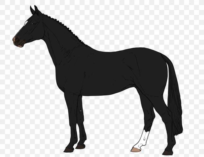 Arabian Horse Percheron American Paint Horse Foal Stallion, PNG, 1018x785px, Arabian Horse, American Paint Horse, Black, Bridle, Colt Download Free