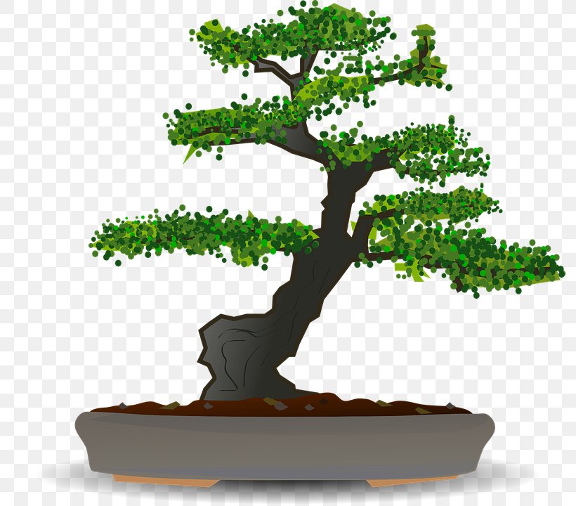 Bonsai Sageretia Theezans Tree Clip Art, PNG, 798x720px, Bonsai, Flowerpot, Houseplant, Plant, Public Domain Download Free