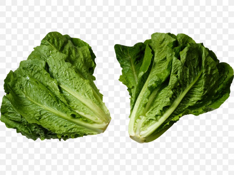 Caesar Salad Chinese Chicken Salad Romaine Lettuce Lettuce Sandwich Greens, PNG, 866x650px, Caesar Salad, Broccoli, Butterhead Lettuce, Cabbage, Chard Download Free