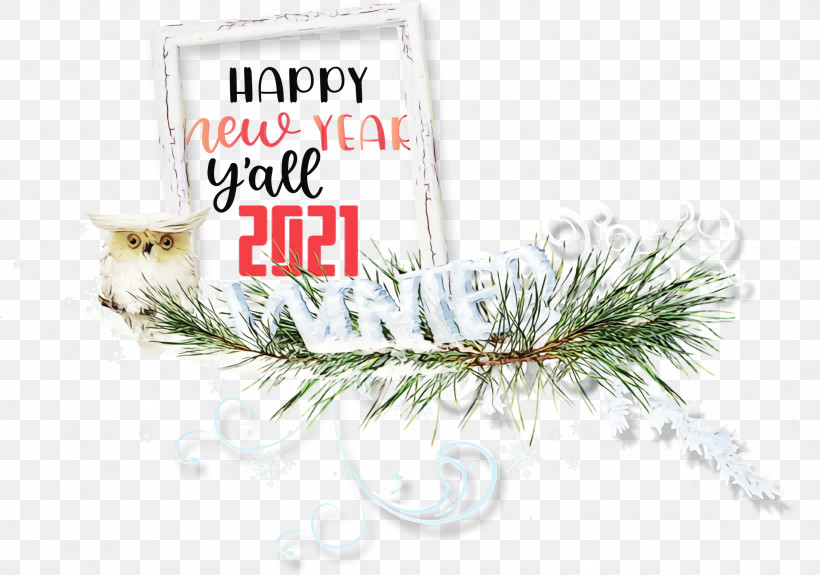 Christmas Day, PNG, 3000x2107px, 2021 Happy New Year, 2021 New Year, 2021 Wishes, Christmas Day, Christmas Ornament Download Free