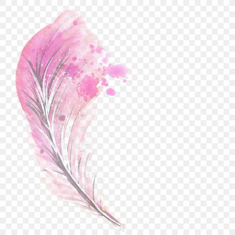 Feather Pink Illustration, PNG, 1280x1280px, Feather, Bird, Blue, Color, Drawing Download Free