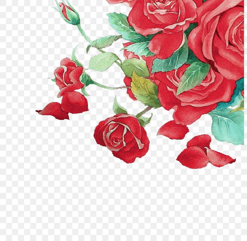 Garden Roses Floral Design Cut Flowers, PNG, 800x800px, Garden Roses, Artificial Flower, Beach Rose, Cabbage Rose, Cut Flowers Download Free